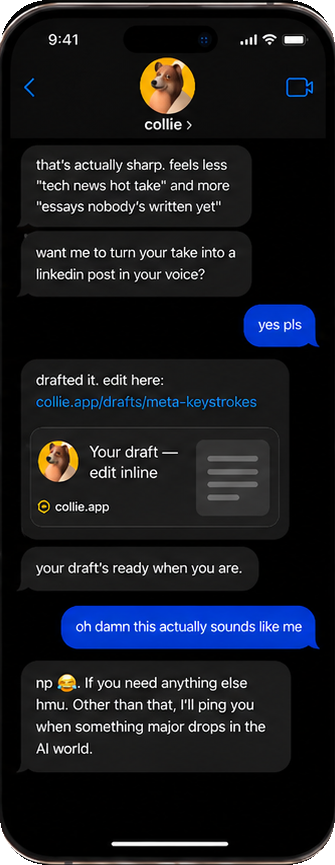 Collie introduces itself and asks what you want to try.